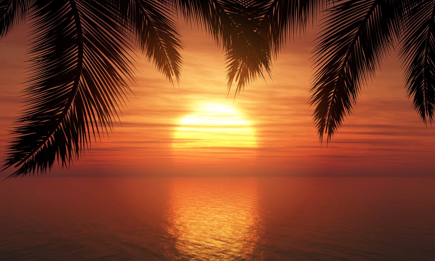 Sunset over the ocean framed by palm leaves — the view waiting at the end of your trip